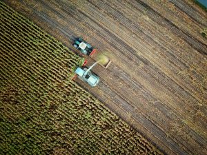 Scopri di più sull'articolo Isola di Pantelleria, la sua agricoltura eroica